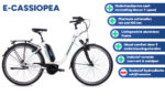 chrisson_e-cassiopea_28_inch_50_cm_dames_7v_v-brakes_matwit_1033807_20241003114641