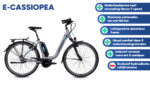 chrisson_e-cassiopea_28_inch_50_cm_dames_7v_v-brakes_zilvergrijs_1033814_20241003120221
