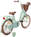 amigo_fairy_16_inch_meisjes_terugtraprem_mintgroen_1023553_20231213111754