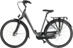 bimas_city_7.3_28_inch_50_cm_dames_7v_rollerbrake_matgrijs_1038941_20250613164151