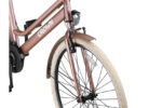 crown_new_york_28_inch_53_cm_dames_7v_v-brakes_roze_1039263_1751529832